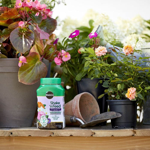 Miracle-Gro® Shake 'n Feed® Rose & Bloom Plant Food