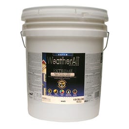 Premium Extreme Exterior Paint/Primer In One, White, 5-Gallon