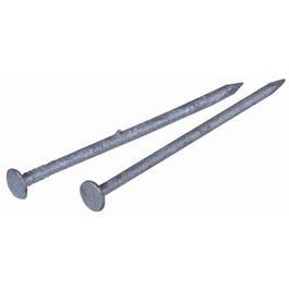 Galvanized Common Nail, 2-In., 6-D, 1-Lb.