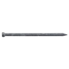 Nails, Galvanized Finish, 3.5-In. x 16D, 1-Lb.