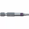 Big Timber T20 x 2 In. Torx Bit (2-Piece) (T20 x 2)