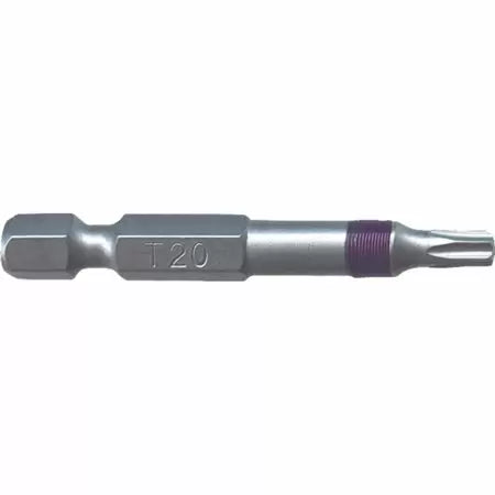 Big Timber T20 x 2 In. Torx Bit (2-Piece) (T20 x 2