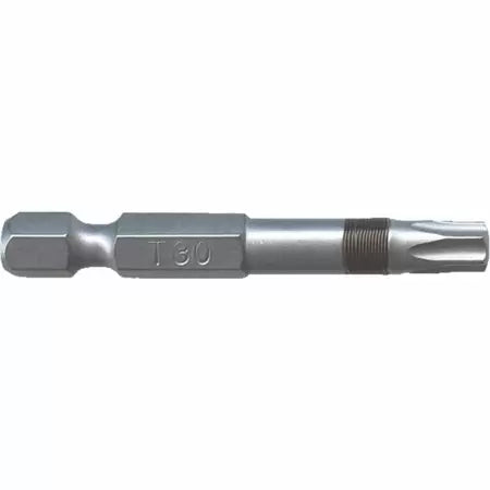 Big Timber T30 x 2 In. Torx Bit 2-Piece (T30 x 2