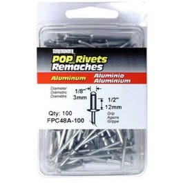 100-Pack Long Aluminum Rivets