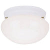 8-Inch Ceiling Light Fixture