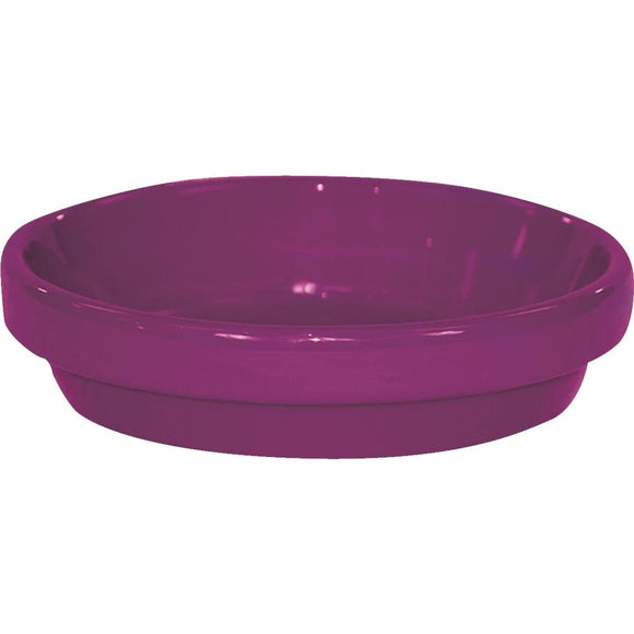 Ceramo Spring Fever 8 In. Violet Clay Flower Pot Saucer