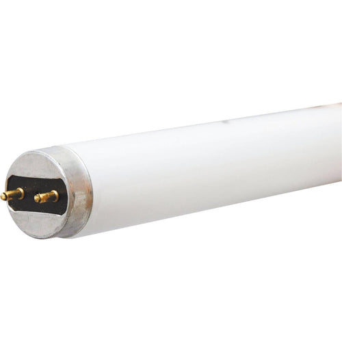 Philips 17W 24 In. Bright White T8 Medium Bi-Pin Fluorescent Tube Light Bulb