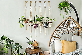 National Hardware Modern S Hook Small 4-3/4-in, Brushed Gold