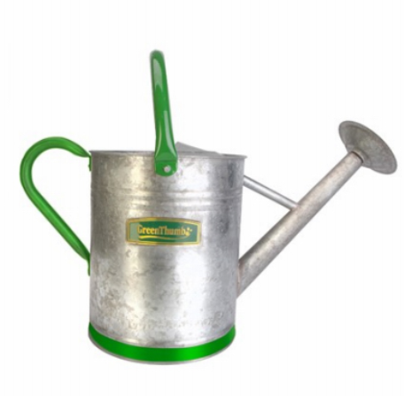 Green Thumb Vintage-Style Watering Can