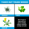 Ortho® GroundClear® Super Weed & Grass Killer₁