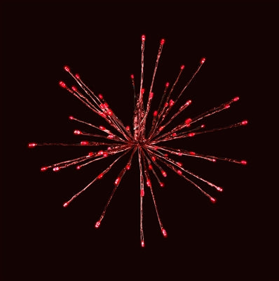 Holiday Bright Lights 16